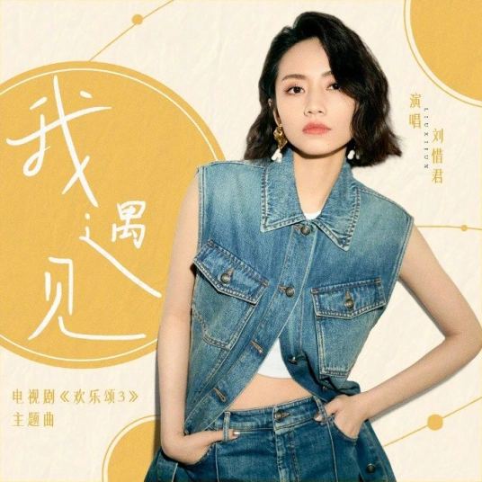 I Met我遇见(Wo Yu Jian) Ode To Joy 3 OST By Sara Liu Xijun刘惜君