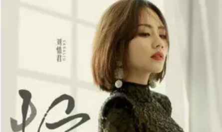 Busy忙(Mang) Star of Ocean OST By Sara Liu Xijun刘惜君