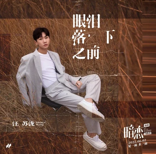 Before Tears Fall Down眼泪落下之前(Yan Lei Luo Xia Zhi Qian) My Blue Summer OST By Silence Wang汪苏泷