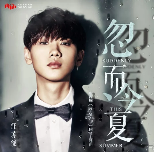 Suddenly This Summer忽而今夏(Hu Er Jin Xia) Suddenly This Summer OST By Silence Wang汪苏泷
