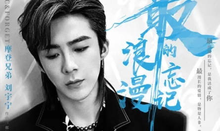 Romantic & Forget最浪漫的忘记(Zui Lang Man De Wang Ji) Never Say Goodbye OST By Liu Yuning刘宇宁