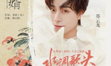 Water Song水调歌头(Shui Diao Ge Tou) My Heroic Husband OST By Zheng Yunlong郑云龙