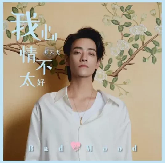 Bad Moon我心情不太好(Wo Xin Qing Bu Tai Hao) My Strange Friend OST By Zheng Yunlong郑云龙