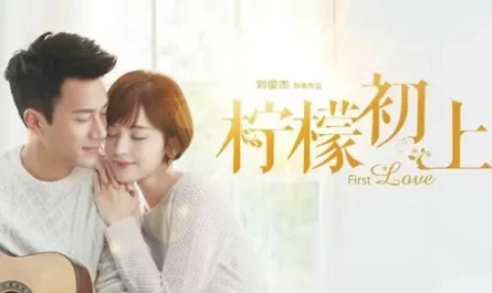 Too Late To Love相爱恨晚(Xiang Ai Hen Wan) First Love OST By Zhang Lei张磊