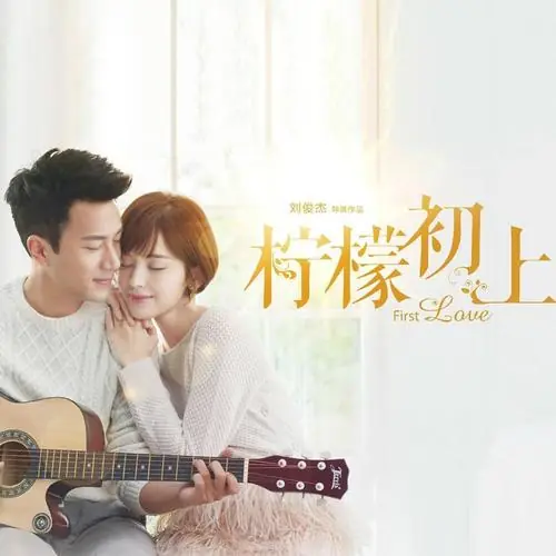 Too Late To Love相爱恨晚(Xiang Ai Hen Wan) First Love OST By Zhang Lei张磊