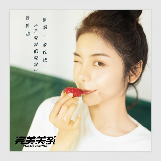 Imperfect Perfection不完美的完美(Bu Wan Mei De Wan Mei) Perfect Partner OST By Vanessa Jin Wenqi金玟岐