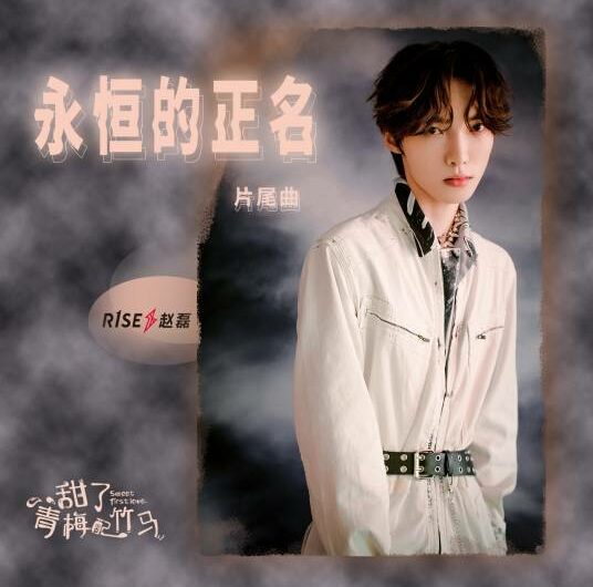 Eternal Proof永恒的正名(Yong Heng De Zheng Ming) Sweet First Love OST By Ray Zhao Lei赵磊