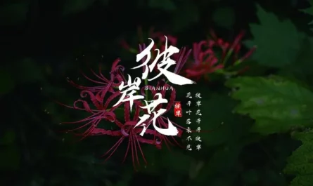 Quicksand流沙(Liu Sha) Beautiful Reborn Flower OST By Victor Ma Boqian马伯骞