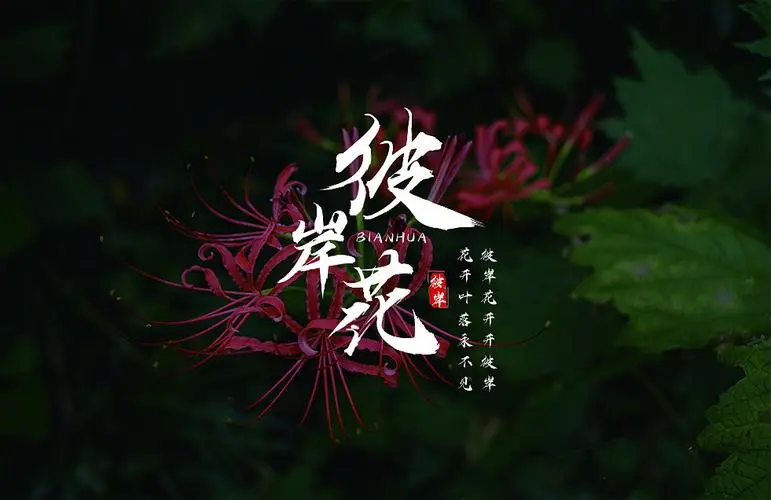 Quicksand流沙(Liu Sha) Beautiful Reborn Flower OST By Victor Ma Boqian马伯骞