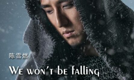 We Won't be Falling (Guardian OST) By Chen Xueran陈雪燃