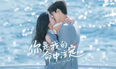 Ai Ya Love哎呀爱(Ai Ya Ai) You are my Destiny OST By Juni Lee李俊毅