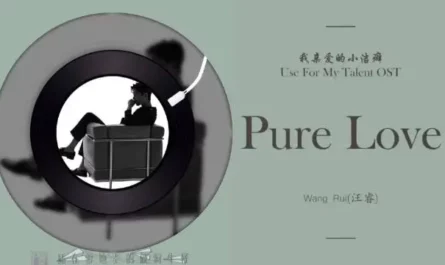 Pure Love (Use for My Talent OST) By Rio Wang Rui汪睿