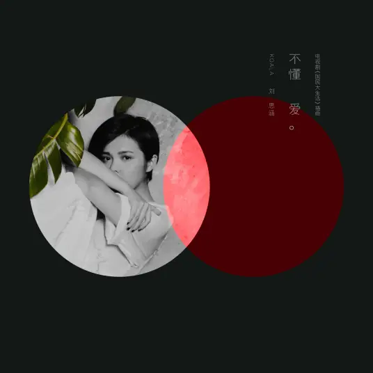 What's Love不懂爱(Bu Dong Ai) The Times We Had OST By Koala Liu Sihan刘思涵