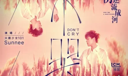 Don't Cry不哭(Bu Ku) Cry Me A Sad River OST By Sunnee杨芸晴