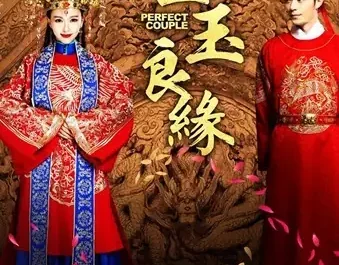 Perfect Couple金玉良缘(Jin Yu Liang Yuan) Perfect Couple OST By Li Qi李琦 & Ting Anne贾青