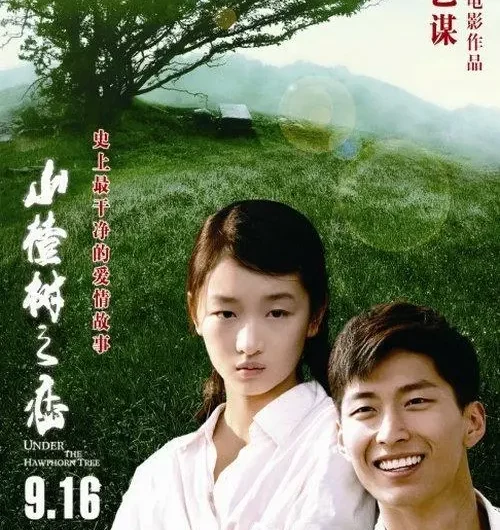Hawthorn Flowers山楂花(Shan Zha Hua) Under the Hawthorn Tree OST By Chen Chusheng陈楚生